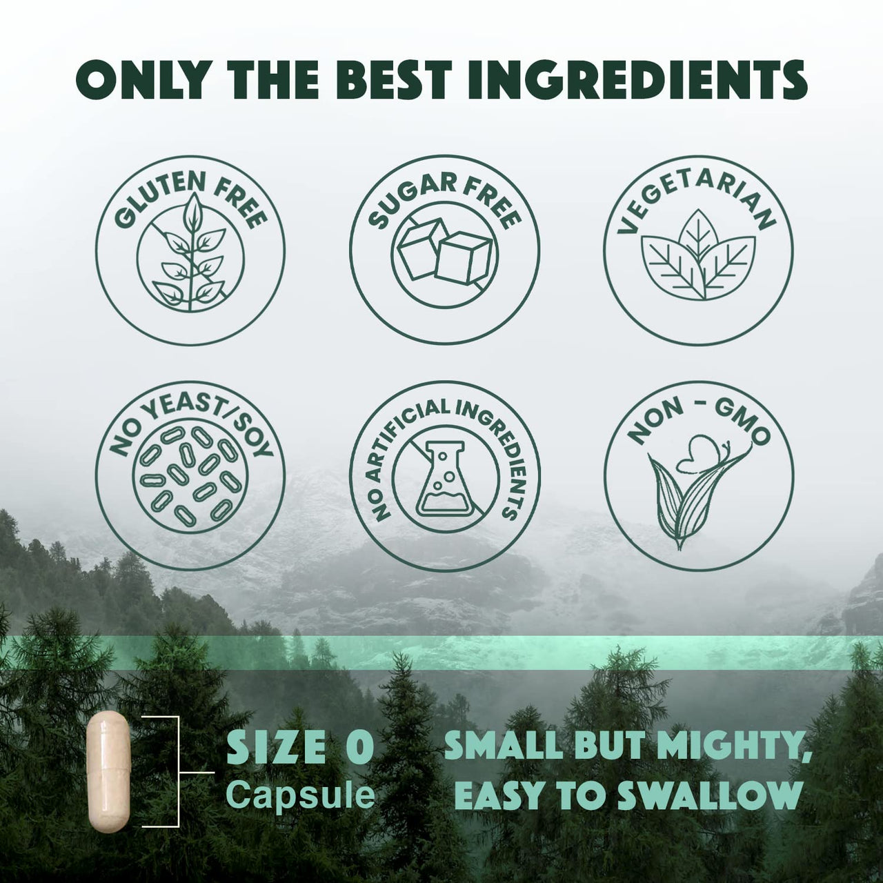 Natural Rhythm Triple Calm Magnesium Complex - 120 Capsules, Chelated Magnesium Glycinate, Taurate & Malate, High Absorption Supplement for Sleep, Stress, Muscle & Heart Support, Non-GMO, Vegan