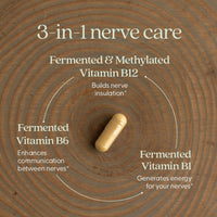 Thumbnail for New Chapter Nerve Health Supplement for 3-in-1 Support from Head to Toe - Vitamin B1 Generates Energy for Nerves, Vitamin B6 Enhances Healthy Transmission, Vitamin B12 Builds Insulation, 30ct
