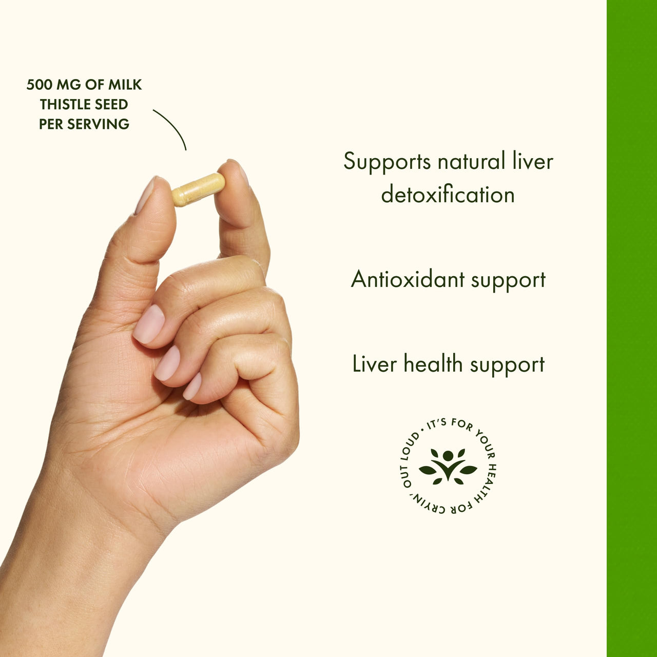 Swanson Milk Thistle (Standardized) - Herbal Liver Support Supplement w/ 80% Silymarin - Natural Formula Helping to Maintain Overall Health & Wellbeing - (120 Capsules)