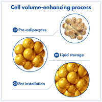 Thumbnail for TOSOWOONG Volufiline Serum, 100% France Sederma Volufiline Concentrate for Plumping, Skin firming, Boost and Glass skin, glow Skincare for Face, lip and body, 11ml 0.37 fl. oz.
