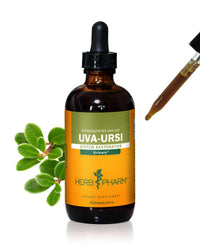 Thumbnail for Herb Pharm Uva Ursi Liquid Extract for Urinary System Support - 4 Ounce