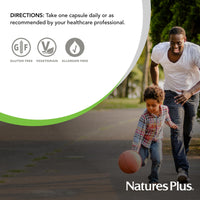 Thumbnail for NaturesPlus Herbal Actives Licorice (DGL) 500 mg - 60 Capsules, Pack of 2 - Supports Healthy Digestion & Overall Well-Being - Vegetarian, Gluten Free - 120 Total Servings
