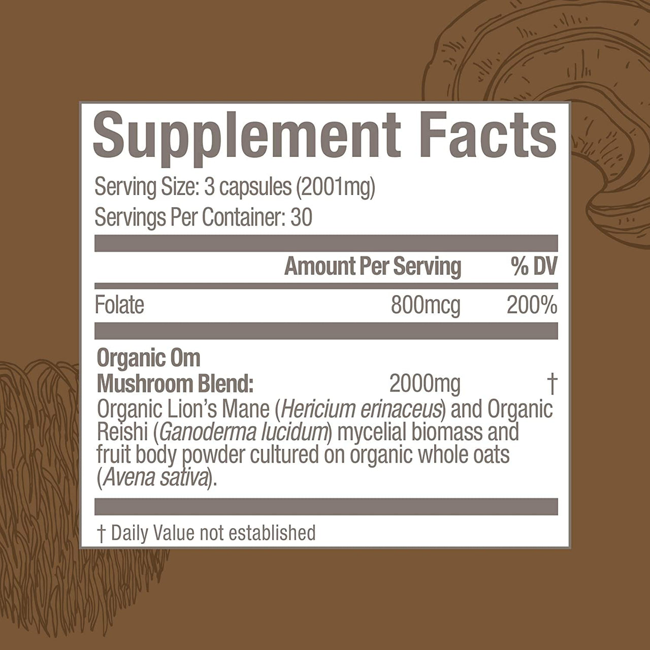 OM MUSHROOM SUPERFOOD Brain Fuel Mushroom Powder Capsules Superfood Supplement, 90 Count, 30 Days, Lion's Mane, Reishi Blend Plus Folate, Mental Clarity, Mushroom Supplement