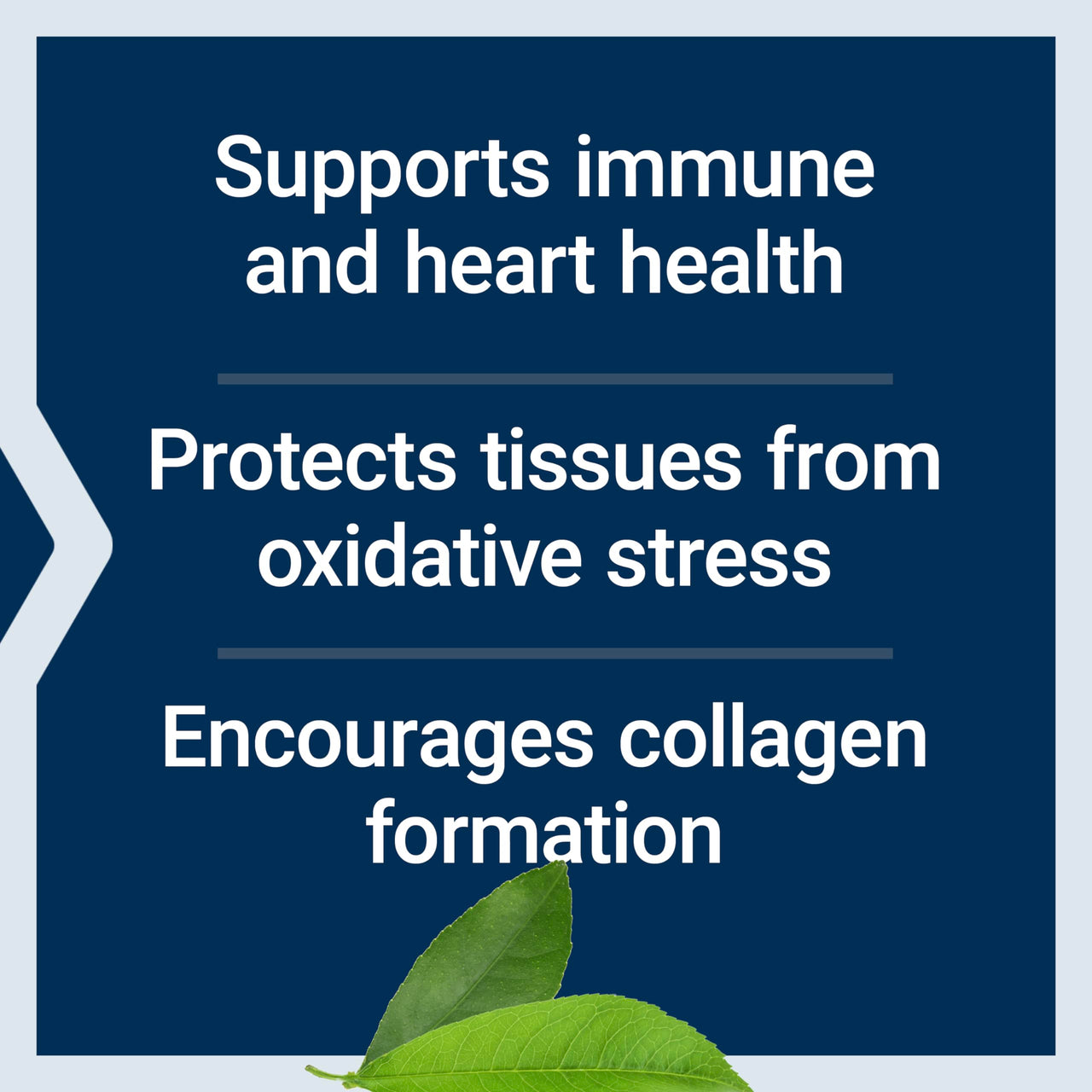 Life Extension Buffered Vitamin C Powder, buffering minerals, calcium, magnesium, potassium & zinc, for sensitive stomachs, gluten free, non-GMO, vegetarian, 454 grams, about 84 servings