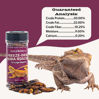 Thumbnail for Fluker's Freeze Dried Dubia Roaches, Ideal for Lizards, Reptiles, Birds, Fish, Hedgehogs, 1.7 oz