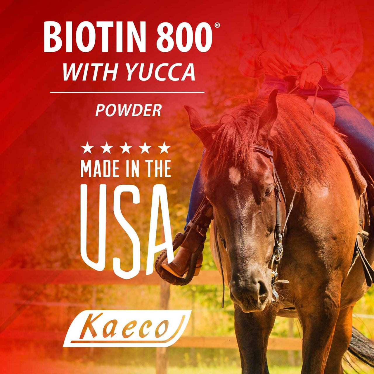 KAECO GROUP INC BIOTIN 800 Powder 6LB D/S