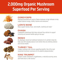 Thumbnail for OM MUSHROOM SUPERFOOD Morning Energy Blend – Caffeine-Free Powder with Cordyceps, Lion’s Mane, Rhodiola & Vitamin D2 – Supports Energy, Focus & Endurance – 8.47 oz Canister (30 Servings)
