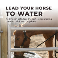 Thumbnail for Daily Red Complete Wellness, Fortified Mineral Mix Supplement for Horses (5 LB)