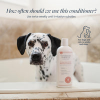 Thumbnail for Veterinary Formula Clinical Care Hot Spot & Itch Relief Cat & Dog Medicated Conditioner, 16 oz – Oatmeal Conditions Skin for a Lustrous Coat, Formulated to Help Alleviate Itchy Skin