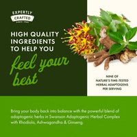 Thumbnail for Swanson Rhodiola Ashwagandha Ginseng Complex Energy Immune Function Nervous System Stress Support Adaptogen Herb Supplement 60 Capsules
