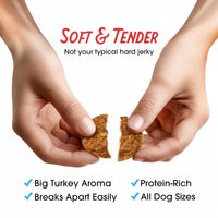 Thumbnail for Farmland Traditions Filler Free Dogs Love Turkey & Sweet Potato Premium Jerky Treats for Dogs, 1 lb. Bag
