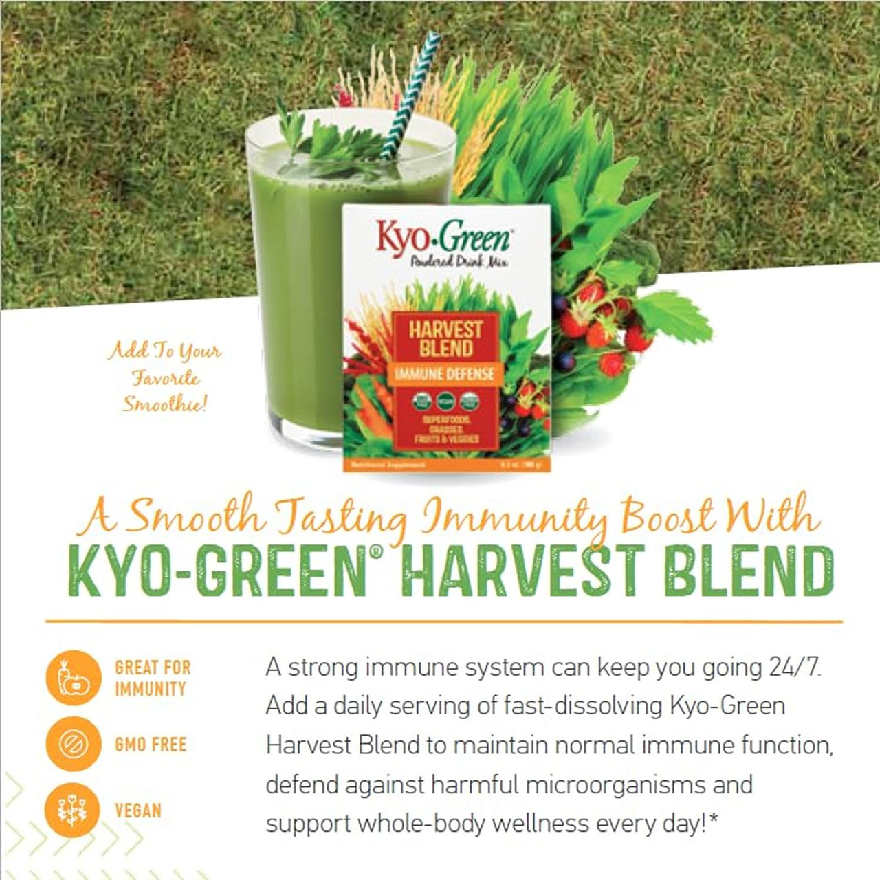Kyolic Kyo-Green Harvest Blend, Immune Defense*, Powdered Drink Mix, 6.3 oz