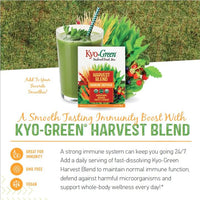 Thumbnail for Kyolic Kyo-Green Harvest Blend, Immune Defense*, Powdered Drink Mix, 6.3 oz
