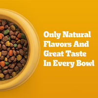 Thumbnail for Pedigree Adult Dry Dog Food, Complete Nutrition, Roasted Chicken & Vegetable Flavor, 3.5 lb. Bag