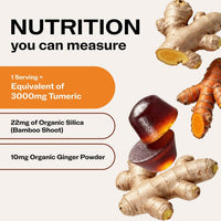 Thumbnail for Vimergy NutriDense Fruitylicious Turmeric + Ginger Chewables (60 Count) & Liquid Lemon Balm (115 mL)