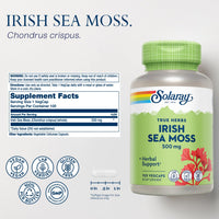 Thumbnail for SOLARAY Irish Sea Moss 500 mg Naturally Occurring Vitamins, Minerals, and Fiber Herbal Support for Gut Health and More - Vegan, Gluten Free, Lab Verified - 60 Day Guarantee - 100 Servings, 100 VegCaps