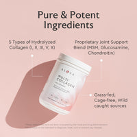 Thumbnail for Alaya Multi Collagen Powder - Type I, II, III, V, X Hydrolyzed Collagen Peptides Protein Powder Supplement with MSM + GC (Unflavored) (40 Servings)