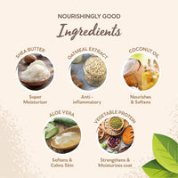 Thumbnail for Pet Head On All Paws Coconut Paw Butter | Soothes & Nourishes for Soft Crack-Free Paws and Noses | Paw Moisturizer Balm | Vegan | Lick-Safe | Gentle Formula for Puppies | Made in USA | 1.4 oz.