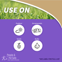 Thumbnail for Bonide MOLEMAX Mole & Vole Repellent Granules, 5 lbs. Ready-to-Use, Outdoor Lawn & Garden Mole Control, People & Pet Safe
