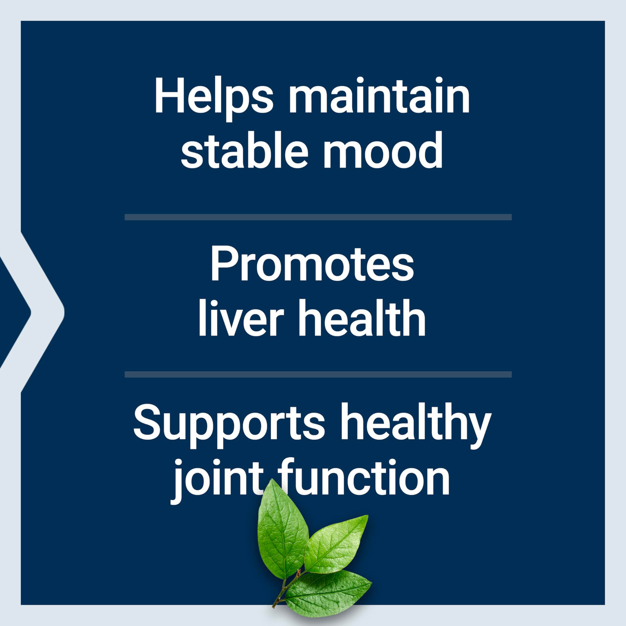 Life Extension Same, S-Adenosyl-Methionine, 400 mg, Best-Selling Mood Health, Liver Health and Joint Support Supplement, Non-GMO, Vegetarian, Gluten Free, 60 enteric-Coated Tablets