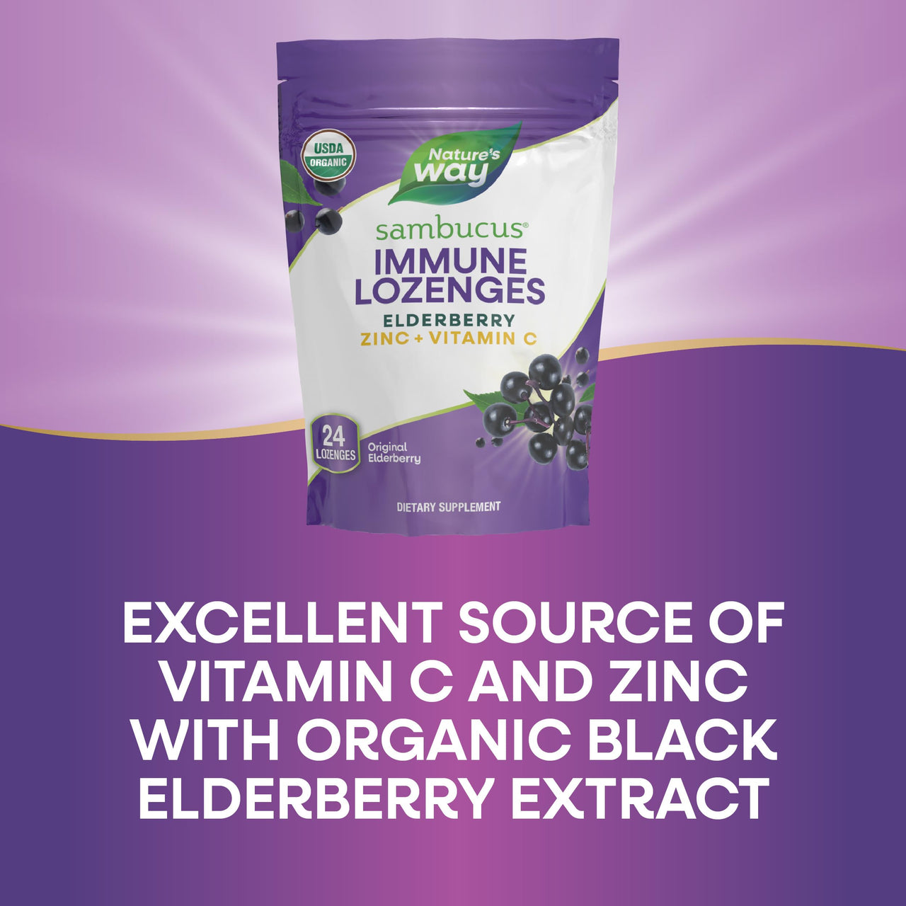 Nature's Way Organic Sambucus Lozenge, Elderberry and Zinc 24 Pieces (Pack of 3)