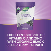 Thumbnail for Nature's Way Organic Sambucus Lozenge, Elderberry and Zinc 24 Pieces (Pack of 3)