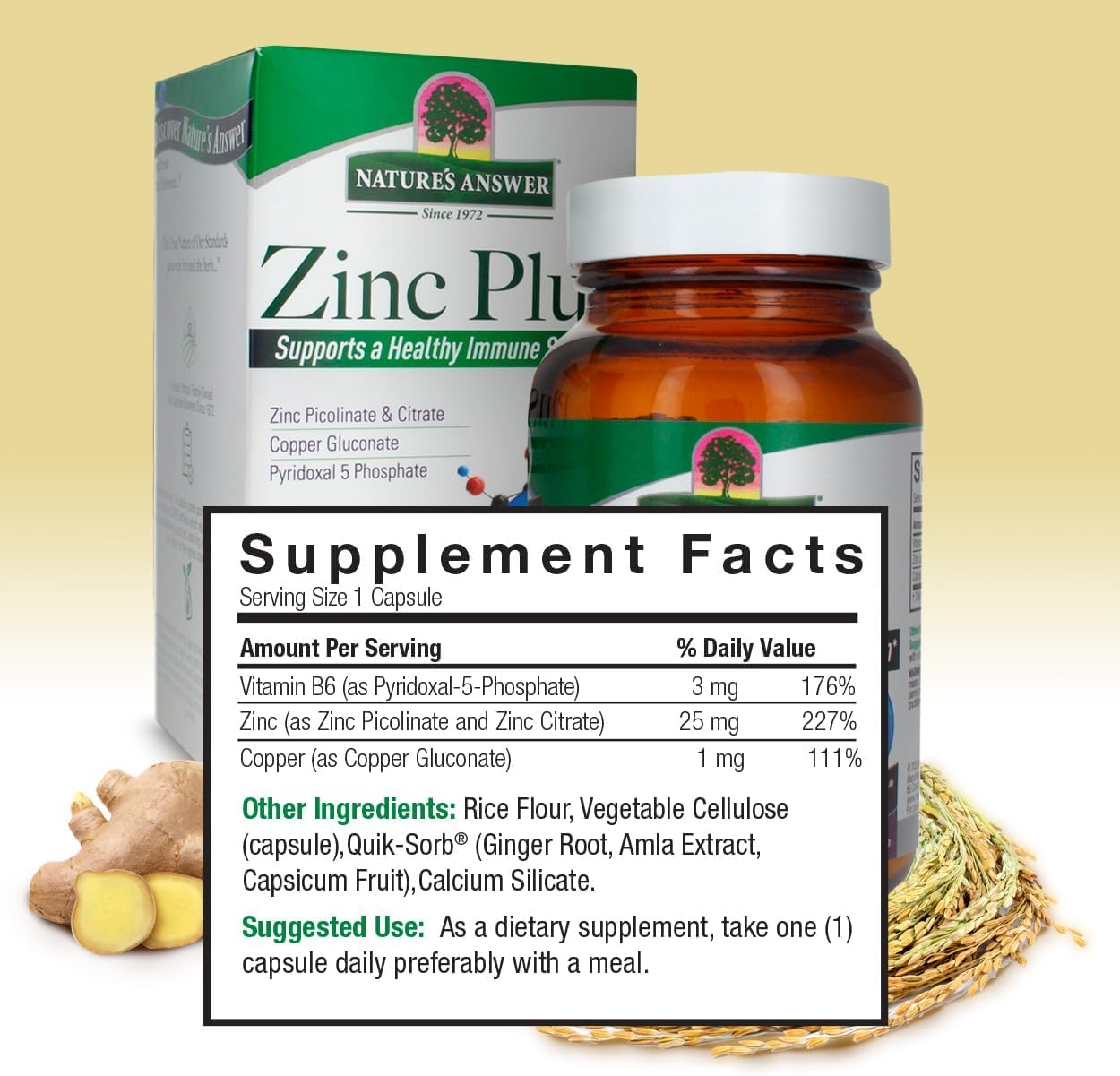 Zinc Plus + Vitamins for Adults - 25mg of Immune Support with B6 60 Veg Capsules - Vegan, Gluten-Free, Cruelty-Free Zinc Piclonate | Immune Support