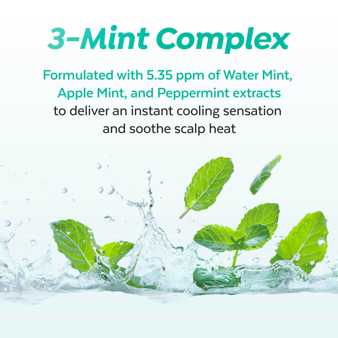 A’PIEU Mint Hair Vinegar - Instant Scalp Cooling & Detox for Oily Scalp, Buildup & Dandruff Scalp Treatment, pH-Balancing Rinse for Fresh, Shiny Hair, Korean Haircare, 6.76 fl oz