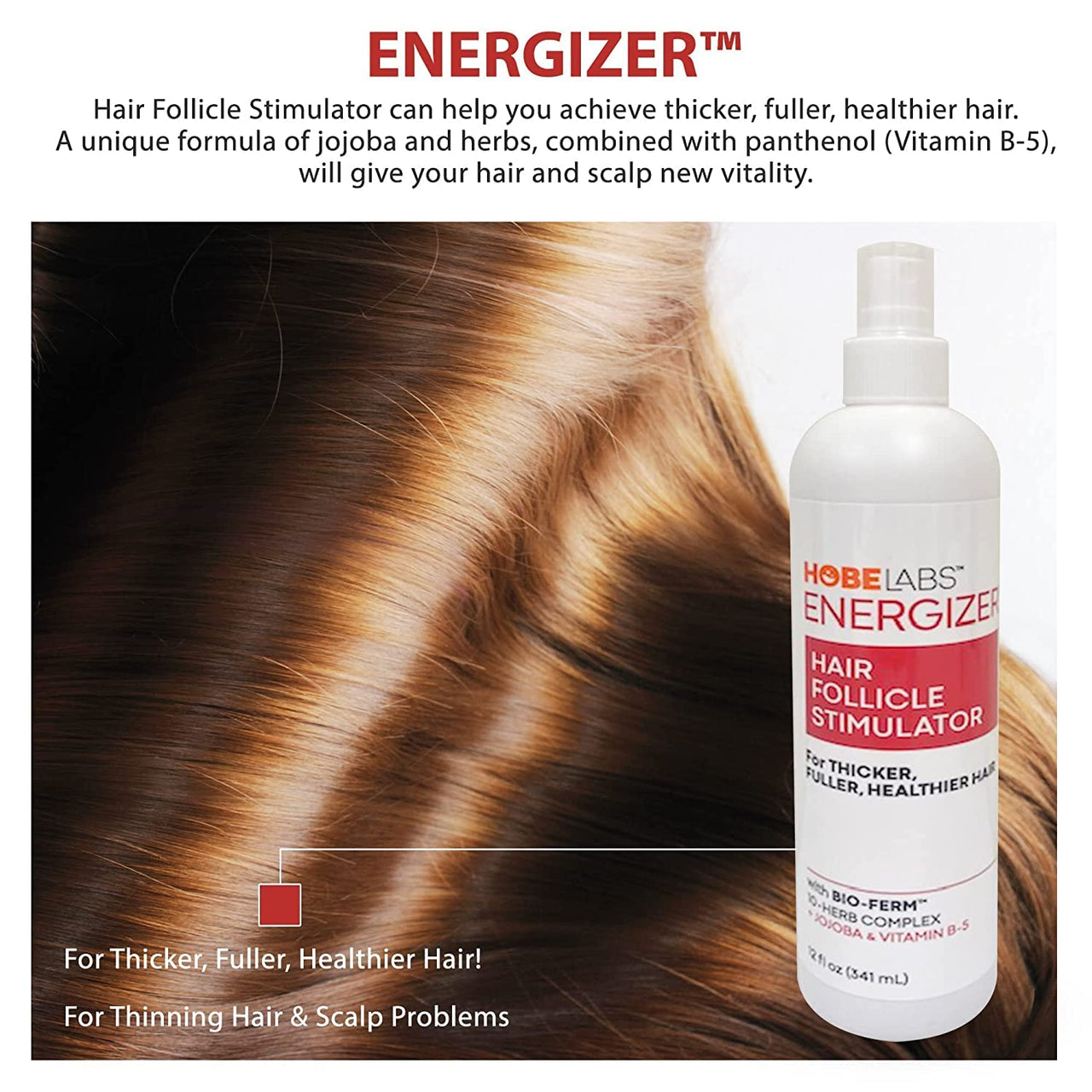 Hobe Labs Energizer Hair Follicle Stimulator with Jojoba and Vitamin B-5 for Thicker, Fuller Hair, 8 oz