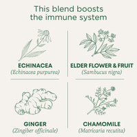 Thumbnail for Traditional Medicinals Tea, Organic Echinacea Plus Elderberry, Boosts the Immune System, 16 Tea Bags