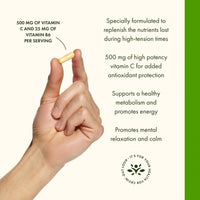 Thumbnail for Swanson Vitamin B-Complex w/Vitamin C - Natural Supplement Promoting Stress Relief, Energy Support & Aiding Immune Health - May Support Metabolism & Nervous Health - (100 Capsules)