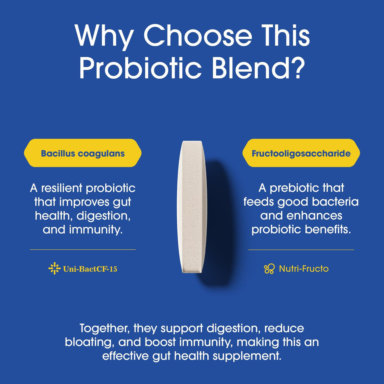 Nutrition Essentials Probiotics for Women and Men - with Lactase Enzyme and Prebiotic Fiber for Digestive Health - 80 Percent + More Potent Supplement for Gut Health Support - Vegan Formula