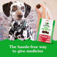 Thumbnail for Greenies Pill Pockets for Dogs Large Size, Dog Treat Pouch for Capsule Medication, Hickory Smoke Flavor, 15.8 oz. Pouch
