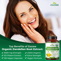 Thumbnail for Zazzee USDA Organic Dandelion Root 10:1 Extract, 3000 mg Strength, 120 Capsules, 4 Month Supply, Standardized and Concentrated 10X Extract, 100% Vegetarian, All-Natural and Non-GMO
