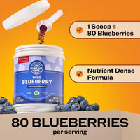 Thumbnail for Vimergy Wild Blueberry Powder –Protects Brain Health* - Supports Cardiovascular Function* – USDA Organic, Vegan & Gluten-Free – 250g