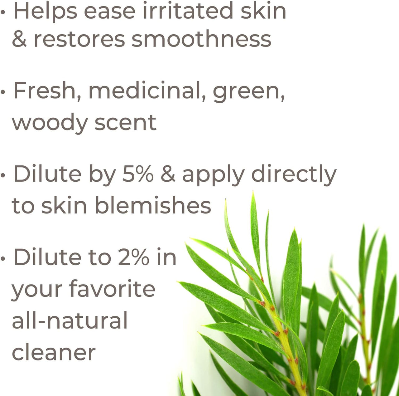 Plant Therapy Organic Tea Tree Essential Oil