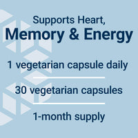 Thumbnail for Life Extension L-Carnitine – 500 mg, Energy Supplement, Memory Supplement – Free Form Amino Acid, Nitric Oxide Support, Healthy Blood Pressure – Gluten-Free, Non-GMO, Vegetarian – 30 Capsules