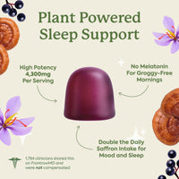 Thumbnail for Plant People WonderSleep Mushroom Gummies Supplement for Sleep, No Melatonin with Reishi Super Mushrooms, Wild Elderberry Flavor, Sugar Free (60 Count)