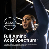 Thumbnail for Optimum Nutrition Superior Amino 2222 Tablets, Complete Essential Amino Acids, EAAs, 320 Count