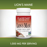 Thumbnail for Planetary Herbals Lion's Mane, for Memory, Focus, and Mood*, 1,000 mg - 30 Vegan Capsules