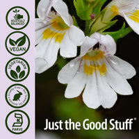 Thumbnail for Natures Answer Eyebright Herb 90 Capsules