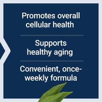Thumbnail for Life Extension Senolytic Activator®*, Healthy Aging, Cellular Health Support, bioavailable quercetin and Fisetin, apigenin, Black Tea theaflavins, Gluten Free, Non-GMO, Vegetarian, 36 Capsules