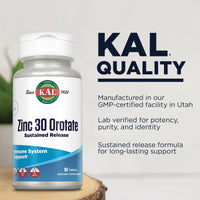 Thumbnail for KAL Zinc Orotate 30mg, Sustained Release, Chelated Zinc Tablets, Immune Support Supplement, Protein Synthesis, Metabolism, Energy Support, Vegan, Gluten Free, 60-Day Guarantee, 90 Servings, 90 Tablets