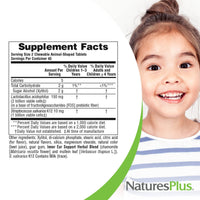 Thumbnail for NaturesPlus Animal Parade Inner Ear Support Children’s Chewable - Natural Cherry Flavor - 90 Animal-Shaped Tablets - Probiotic Supplement - Gluten Free - 45 Servings