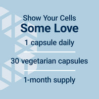 Thumbnail for Life Extension GEROPROTECT® Autophagy Renew, Luteolin, piperlongumine, Cellular Health Support, Healthy Aging, Gluten-Free, Non-GMO, Vegetarian, 30 Capsules