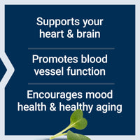 Thumbnail for Life Extension Super Omega-3 EPA/DHA Fish Oil, Sesame Lignans & Olive Extract – Heart Health, Brain Health, Inflammation Health Support, Cholesterol Health Support, Gluten-Free, Non-GMO, 60 Softgels