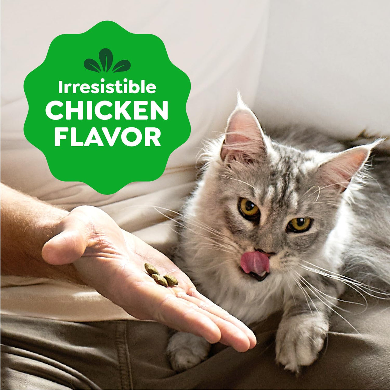 Greenies Feline Smartbites, Cat Treats Healthy Recipe, Indoor Cat Treats, Chicken Flavor, 4.6 oz. Pack