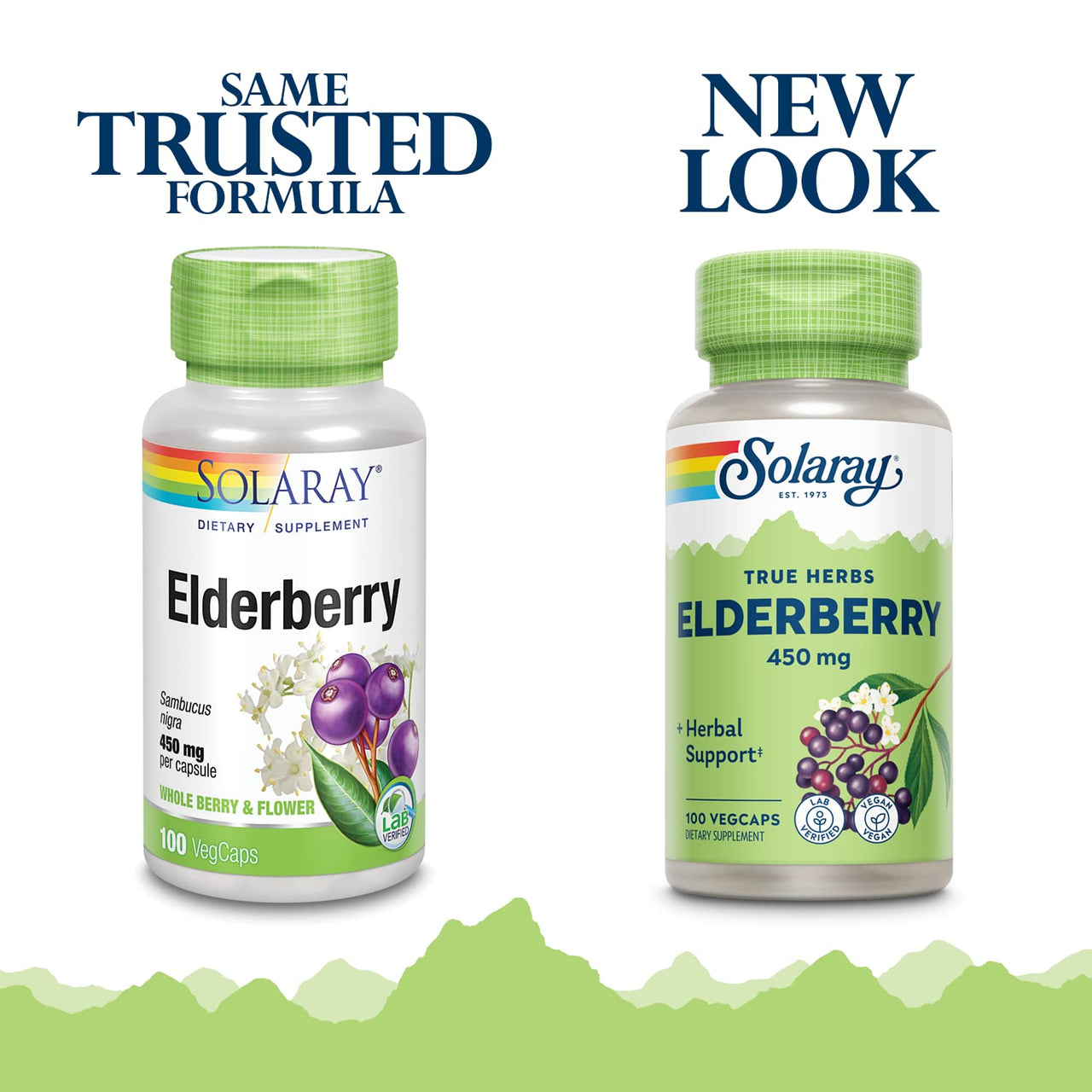 SOLARAY Elderberry Capsules 450mg - Herbal Supplements for Wellness Support - with Sambucus Elderberries Berry and Flower - Non-GMO, Vegan, Gluten Free, Lab Verified, 60-Day Guarantee - 100 Servings