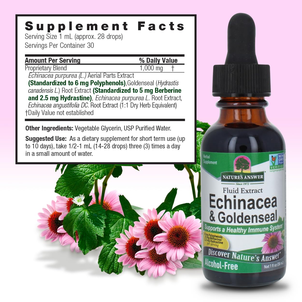 Nature's Answer Echinacea & Goldenseal Liquid Extract Drops Alcohol Free 1 Ounce | Promotes Overall Wellness | Natural Immune Booster | Inflammatory Reducer