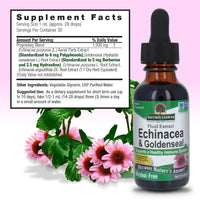 Thumbnail for Nature's Answer Echinacea & Goldenseal Liquid Extract Drops Alcohol Free 1 Ounce | Promotes Overall Wellness | Natural Immune Booster | Inflammatory Reducer